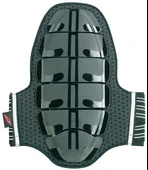 ZANDONA 1006 BELLİK - 1