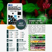 SICOCOTE NPK GÜBRE 12-20-12 (25 KG) - 2