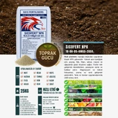 SICOFERT NPK GÜBRE 18-06-05 (25 KG) - 2