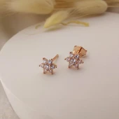 925 Ayar Gümüş Beyaz Taşlı Minimal Lotus Küpe thumbnail 2