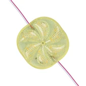 PowerMaster PM-14708 12 Volt 3 Watt Sarı Sabit 6565-2835 Modül Led 65x65x12mm thumbnail 1