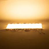 Powermaster 24 Volt 1.5 Watt Günışığı 2835 Cob Modül Led thumbnail 2