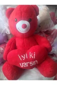 KAYZEN PELUŞ AYICIK İYİKİ VARSIN - 1