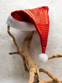 Waldern Yılbaşı Pullu Noel Baba Şapka thumbnail 4