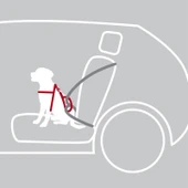 Trixie Köpek Emniyet Kemeri ve Göğüs Tasması 40-55cm 17mm Siyah S-M thumbnail 3