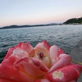 1,05 CT Yakut 0,30 CT Pırlanta (Signty) Taşlı Anturajlı Vintage Tasarım Modern 925 Ayar Gümüş Yüzük - 3