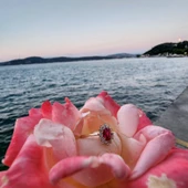 1,05 CT Yakut 0,30 CT Pırlanta (Signty) Taşlı Anturajlı Vintage Tasarım Modern 925 Ayar Gümüş Yüzük - 4