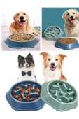 Kedi-köpek Yavaş Yeme Mama Kabı Obezite Önleyici Sindirim Düzenleyici Mama Kabı thumbnail 1