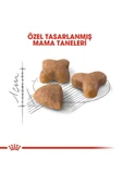 Alisopping Royal Canin Sensible 33 Hassas Sindirimi Olan Kediler Için Mama 4 Kg - 3