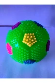 CAN SPORTS Sesli Ve Renkli Işıklı Top Oyuncak - 2