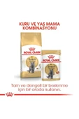 Royal Canin British Shorthair Adult Kedi Kuru Maması 2 Kg - 5