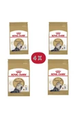 Mia Luxurious 8 Kg (4X2) Royal Canin Persian Kedi Kuru Maması ( Kedi Maması & Iran Kedisi Maması & Iran Kedisi ) - 1