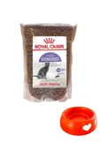 Royal Canin Sterilised 37 Kedi Kuru Maması 2 Kg + Mama Kabı Hediyeli - 1