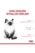 Royal Canin Kıttenyavru Kediler Için Kuru Kedi Maması 4kg - 6