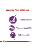 Alisopping Royal Canin Sensible 33 Hassas Sindirimi Olan Kediler Için Mama 4 Kg - 2