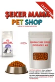 Pro Plan Royal Canin Kısır Kedi Maması 1 kg - 1