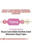 Royal Canin British Shorthair için Yavru Kedi Maması 2kg - 4