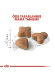 Alisopping Royal Canin Sensible 33 Hassas Sindirimi Olan Kediler Için Mama 4 Kg - 6