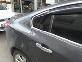 İNSİGNİA KELEBEK CAM IZGARASI thumbnail 3