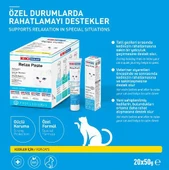 Kiki Excellent Kedi Relax Paste Macun 50 Gr thumbnail 2