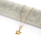 Çelik Kolye, Altın Kaplama Yıldız Kolye, Kadın Kolye K-103 thumbnail 2