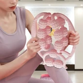 15 Tekerlekli Bacak Boyun Kol Masaj Aleti (5365) thumbnail 5