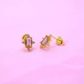 Gümüş Küpe - Kadın Octagon Kesim Zultanit (Renk Değiştiren)Taşlı 0.95 Karat Pırlanta Montörü 925 Ayar Gümüş Küpe - 1