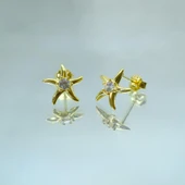 Gümüş Küpe - Kadın Yuvarlak Zirkon Taşlı Deniz Yıldızı 925 Ayar Gümüş Küpe - 2