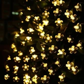 Solar 5m 50 Led Papatya Gün Işığı 8 Fonksiyonlu thumbnail 4