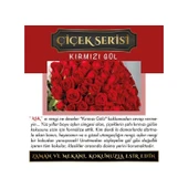 Koku Hanem Meczub Çiçek Serisi Kırmızı Gül 10 Adet 8 ml Silindir Şişe Oto Kokusu Araç Araba Parfümü thumbnail 2