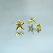 Gümüş Küpe - Kadın Yuvarlak Zirkon Taşlı Deniz Yıldızı 925 Ayar Gümüş Küpe - 3