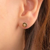 Gümüş Küpe - 925 Ayar Gümüş Kutup Yıldızı Taşlı Küpe - 3