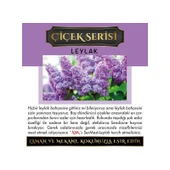 Koku Hanem Meczub Çiçek Serisi Leylak 10 Adet 12 ml Elma Şişe Oto Kokusu Araç Araba Parfümü thumbnail 2