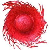 Tropikal Parti Kırmızı Hasır Hawaii Şapkası thumbnail 5