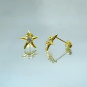 Gümüş Küpe - Kadın Yuvarlak Zirkon Taşlı Deniz Yıldızı 925 Ayar Gümüş Küpe - 4