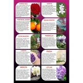 Koku Hanem Aşk-I Sermest Tropik Oto / Araç Kokusu Piramit Şişe, 12 Ml, 10 Adet thumbnail 4