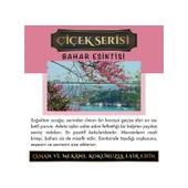 Koku Hanem Ölümsüz Aşk Çiçek Serisi Bahar Esintisi 10 Adet 12 ml Elma Şişe Oto Kokusu Araç Araba Parfümü thumbnail 2