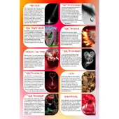 Koku Hanem Meczub Aşk Serisi Aşk Bahçeleri 10 Adet 8 ml Silindir Şişe Oto Kokusu Araç Araba Parfümü thumbnail 5