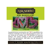 Koku Hanem Meczub Aşk Serisi Aşk Bahçeleri 10 Adet 12 ml Elma Şişe Oto Kokusu Araç Araba Parfümü thumbnail 2