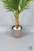 BİÇİÇEK Areka Ağacı 220-240 CM thumbnail 5