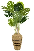 BİÇİÇEK Luxury Monstera Bitkisi 180cm Hasır saksıda bohem3 thumbnail 1