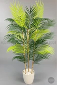 BİÇİÇEK 115cm Areka Ağacı 24 yapraklı yakut Saksıda thumbnail 6