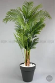 BİÇİÇEK YAPAY AREKA AĞACI  BÜYÜK BOY PALMİYE AĞACI 4 BAMBU GÖVDELİ 220CM ANTRASİT RENK YALI SAKSIDA thumbnail 3