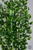 BİÇİÇEK Yapay Bambu ve Benjamin 6 dallı Yoğun Yapraklı 220 cm thumbnail 3