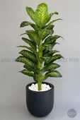BİÇİÇEK Yapay Difenbahya Ağacı 190 cm lux dış mekan saksıda thumbnail 7