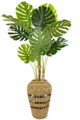 BİÇİÇEK Luxury Monstera Bitkisi 180cm Hasır saksıda bohem3 thumbnail 4