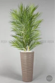 BİÇİÇEK Yapay Areka Ağacı Palmiye Ağacı 33 Yapraklı Bambu Gövdeli Mocca Kumsal Saksı Salon Çiçeği 150cm thumbnail 3