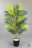BİÇİÇEK 115cm Areka Ağacı 24 yapraklı yakut Saksıda - 2