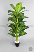 BİÇİÇEK Yapay Difenbahya Ağacı 170-200cm thumbnail 3
