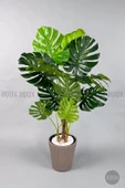 BİÇİÇEK Monstera Ağacı 160-200 cm Bambu Gövde thumbnail 5